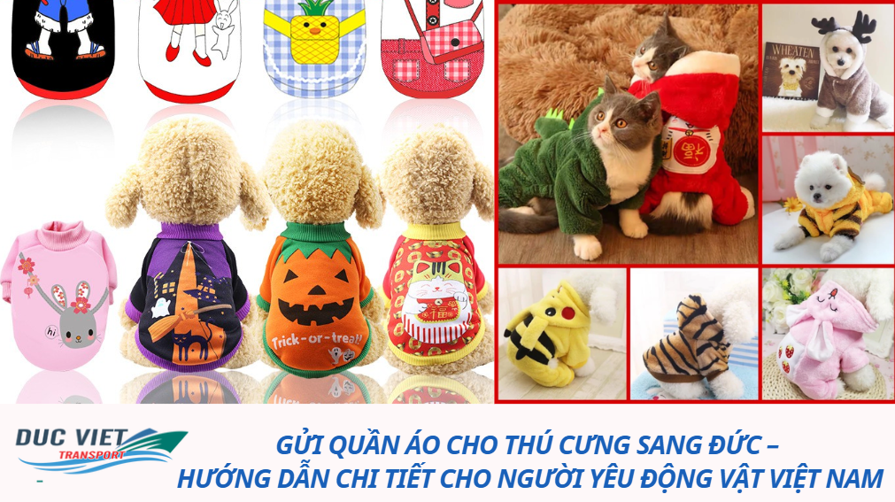 Gửi quần áo cho thú cưng sang Đức – Hướng dẫn chi tiết cho người yêu động vật Việt Nam