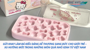 Gửi khay làm đá kiểu dáng dễ thương sang Đức cho giới trẻ – xu hướng mới trong những món quà nhỏ xinh từ Việt Nam