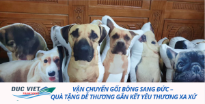 Vận chuyển gối bông sang Đức – Quà tặng dễ thương gắn kết yêu thương xa xứ