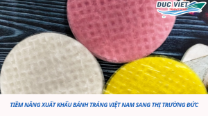 TIỀM NĂNG XUẤT KHẨU BÁNH TRÁNG VIỆT NAM SANG ĐỨC