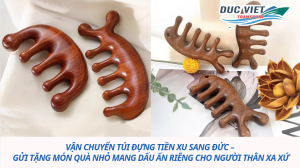 Vận chuyển lược massage sang Đức – Món quà nhỏ chăm sóc sức khỏe cho người Việt xa xứ