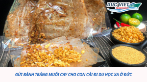 GỬI BÁNH TRÁNG MUỐI CAY CHO CON CÁI ĐI DU HỌC XA Ở ĐỨC