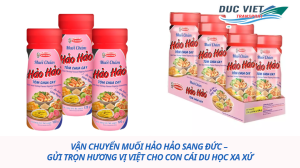 Vận chuyển muối Hảo Hảo sang Đức – Gửi trọn hương vị Việt cho con cái du học xa xứ