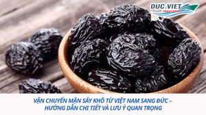 VẬN CHUYỂN MẬN SẤY KHÔ TỪ VIỆT NAM SANG ĐỨC – HƯỚNG DẪN CHI TIẾT VÀ LƯU Ý QUAN TRỌNG