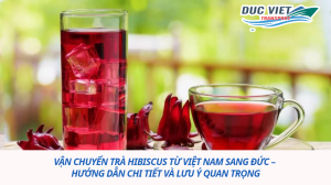 VẬN CHUYỂN TRÀ HIBISCUS TỪ VIỆT NAM SANG ĐỨC – HƯỚNG DẪN CHI TIẾT VÀ LƯU Ý QUAN TRỌNG