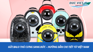 Gửi Balo Thú Cưng Sang Đức – Hướng Dẫn Chi Tiết Từ Việt Nam