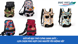 Gửi Đồ Địu Thú Cưng Sang Đức – Lựa Chọn Phù Hợp Cho Người Yêu Động Vật