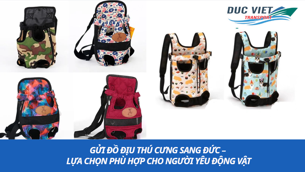 Gửi Đồ Địu Thú Cưng Sang Đức – Lựa Chọn Phù Hợp Cho Người Yêu Động Vật