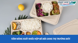 tiềm năng xuất khẩu hộp bã mía sang thị trường đức