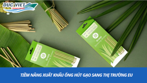 tiềm năng xuất khẩu ống hút gạo