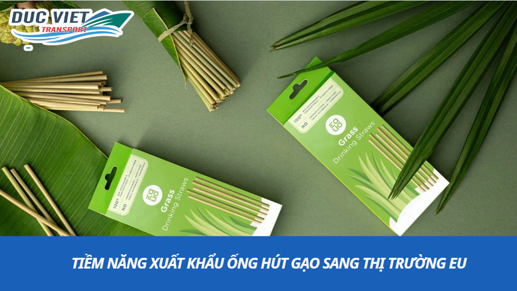 tiềm năng xuất khẩu ống hút gạo
