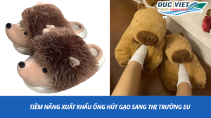 gửi viết bông