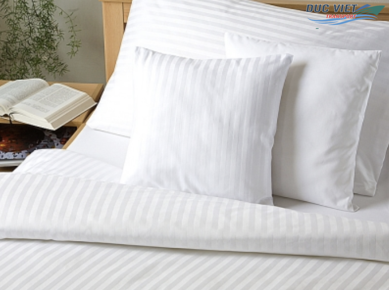 DỊCH VỤ VẬN CHUYỂN CHĂN GA, GỐI NỆM SANG THỊ TRƯỜNG ĐỨC