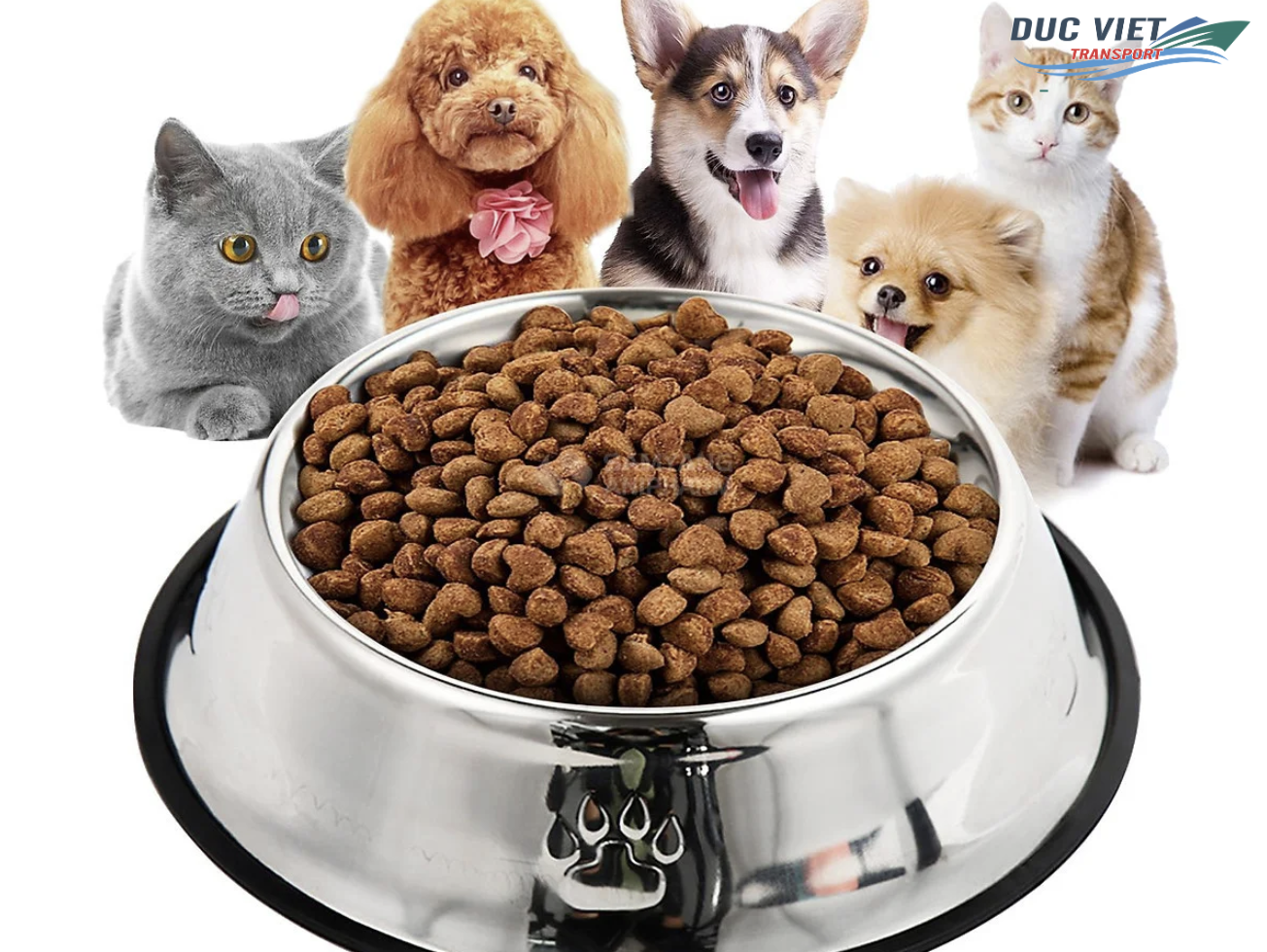 TIỀM NĂNG XUẤT KHẨU THỨC ĂN CHO THÚ CƯNG SANG THỊ TRƯỜNG ĐỨC