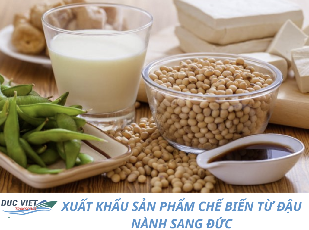 XUẤT KHẨU SẢN PHẨM CHẾ BIẾN TỪ ĐẬU NÀNH SANG ĐỨC