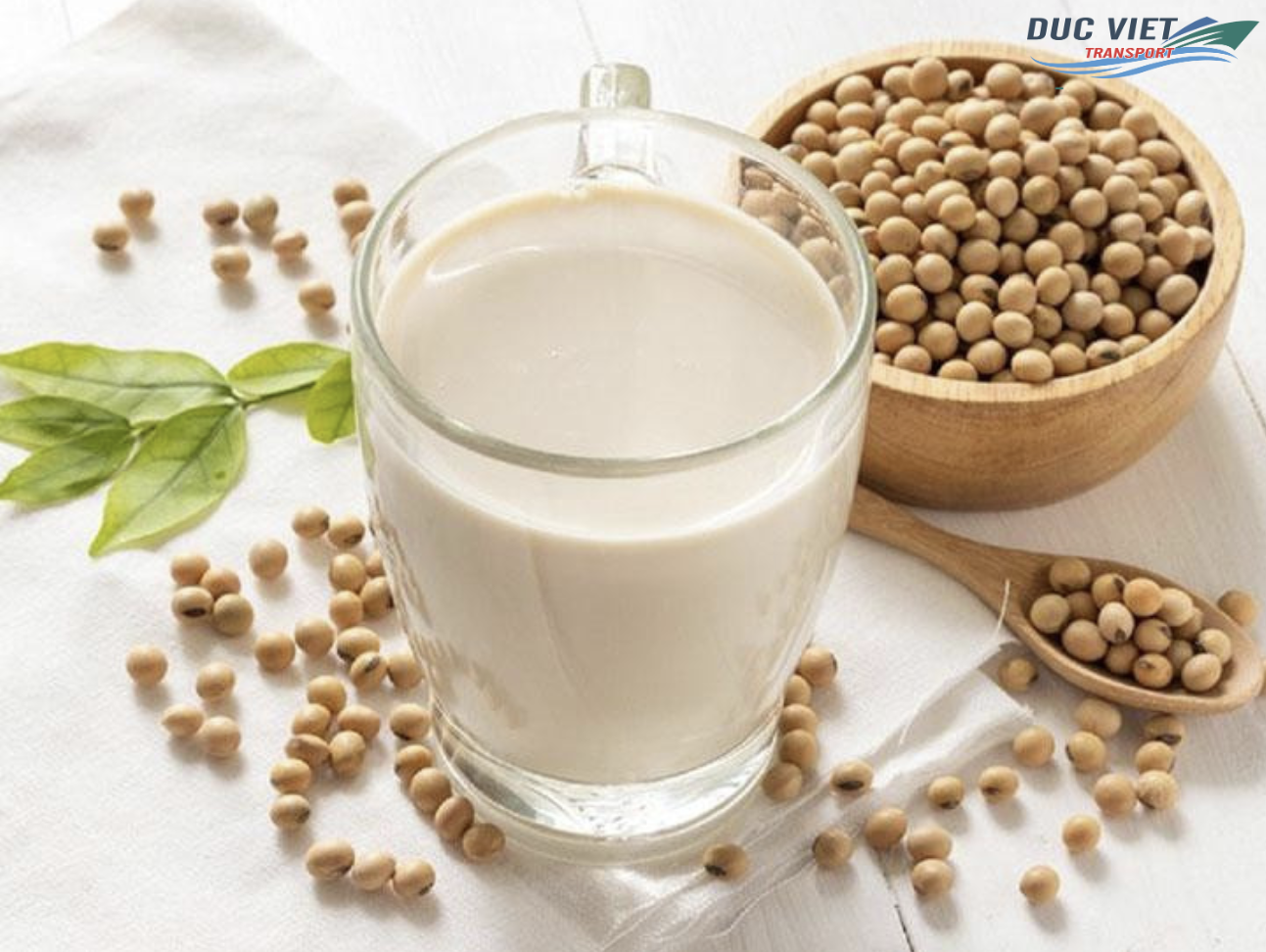 XUẤT KHẨU SẢN PHẨM CHẾ BIẾN TỪ ĐẬU NÀNH SANG ĐỨC