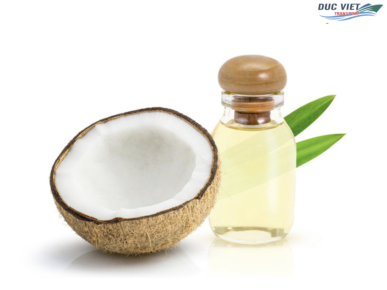 TIỀM NĂNG XUẤT KHẨU DẦU DỪA VIỆT NAM SANG THỊ TRƯỜNG ĐỨC