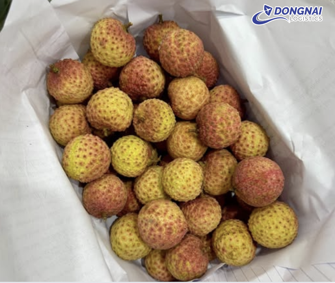 DỊCH VỤ VẬN CHUYỂN VẢI THIỀU ĐÔNG LẠNH TỪ VIỆT NAM SANG ĐỨC