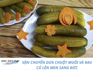 VẬN CHUYỂN DƯA CHUỘT MUỐI VÀ RAU CỦ LÊN MEN SANG ĐỨC