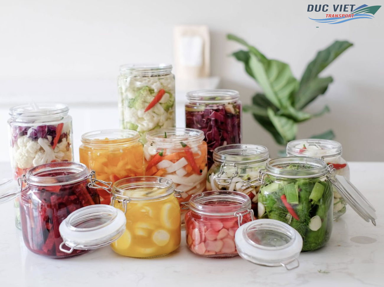 VẬN CHUYỂN DƯA CHUỘT MUỐI VÀ RAU CỦ LÊN MEN SANG ĐỨC