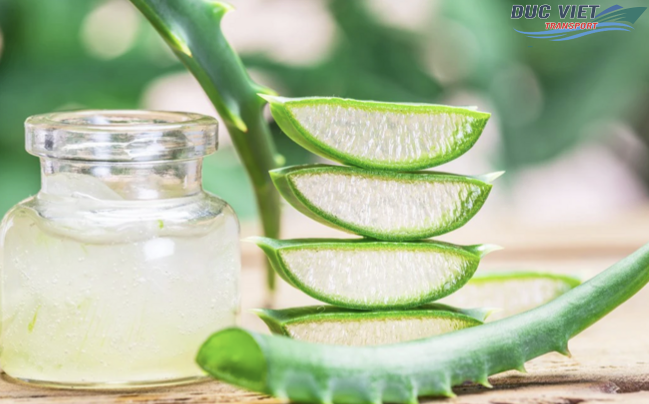 VẬN CHUYỂN NHA ĐAM ĐÓNG CHAI SANG THỊ TRƯỜNG ĐỨC
