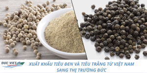XUẤT KHẨU TIÊU ĐEN VÀ TIÊU TRẮNG TỪ VIỆT NAM SANG THỊ TRƯỜNG ĐỨC