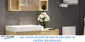 VẬN CHUYỂN KỆ ĐỰNG ĐỒ NHÀ VỆ SINH SANG THỊ TRƯỜNG TIÊU DÙNG ĐỨC