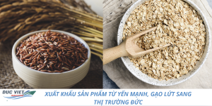 XUẤT KHẨU SẢN PHẨM TỪ YẾN MẠNH, GẠO LỨT SANG THỊ TRƯỜNG ĐỨC