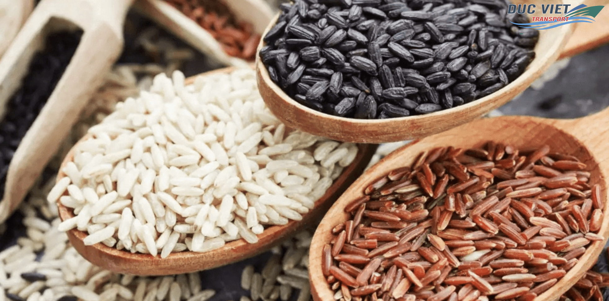 XUẤT KHẨU SẢN PHẨM TỪ YẾN MẠNH, GẠO LỨT SANG THỊ TRƯỜNG ĐỨC