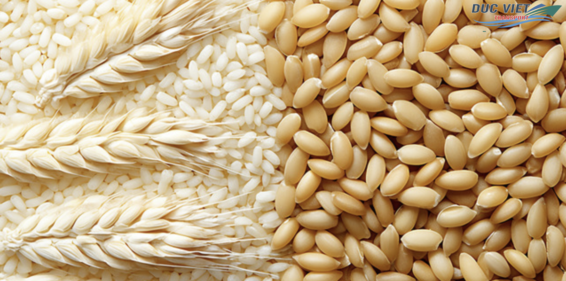 XUẤT KHẨU SẢN PHẨM TỪ YẾN MẠNH, GẠO LỨT SANG THỊ TRƯỜNG ĐỨC