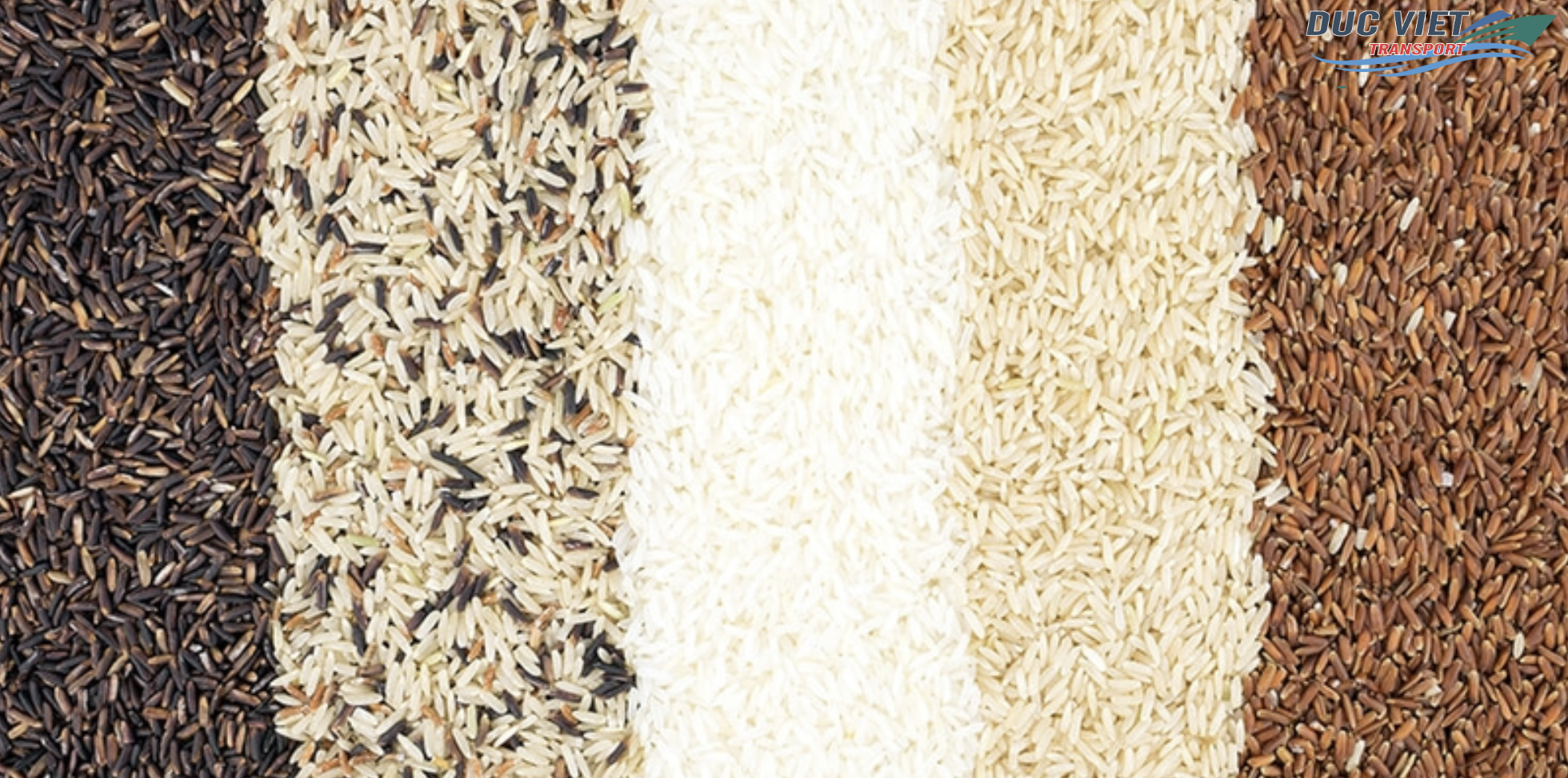 XUẤT KHẨU SẢN PHẨM TỪ YẾN MẠNH, GẠO LỨT SANG THỊ TRƯỜNG ĐỨC