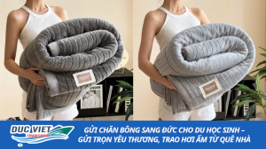 VẬN CHUYỂN CHĂN BÔNG