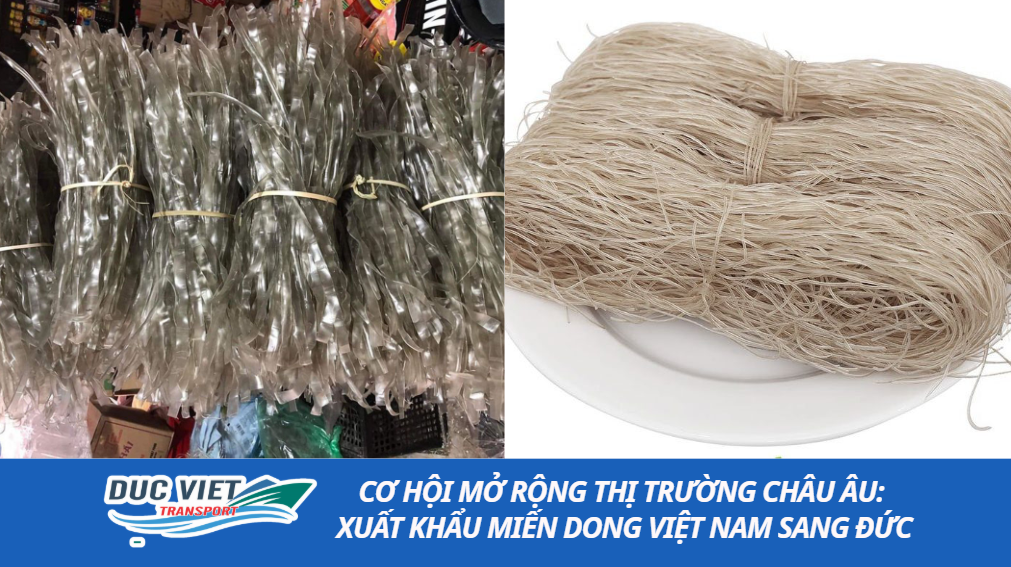 xuất khẩu miến dong