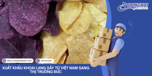 XUẤT KHẨU KHOAI LANG SẤY TỪ VIỆT NAM SANG THỊ TRƯỜNG ĐỨC