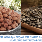 XUẤT KHẨU ĐẬU PHỘNG, HẠT HƯỚNG DƯƠNG RANG MUỐI SANG THỊ TRƯỜNG ĐỨC