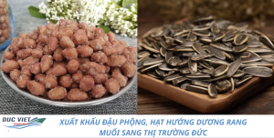 XUẤT KHẨU ĐẬU PHỘNG, HẠT HƯỚNG DƯƠNG RANG MUỐI SANG THỊ TRƯỜNG ĐỨC
