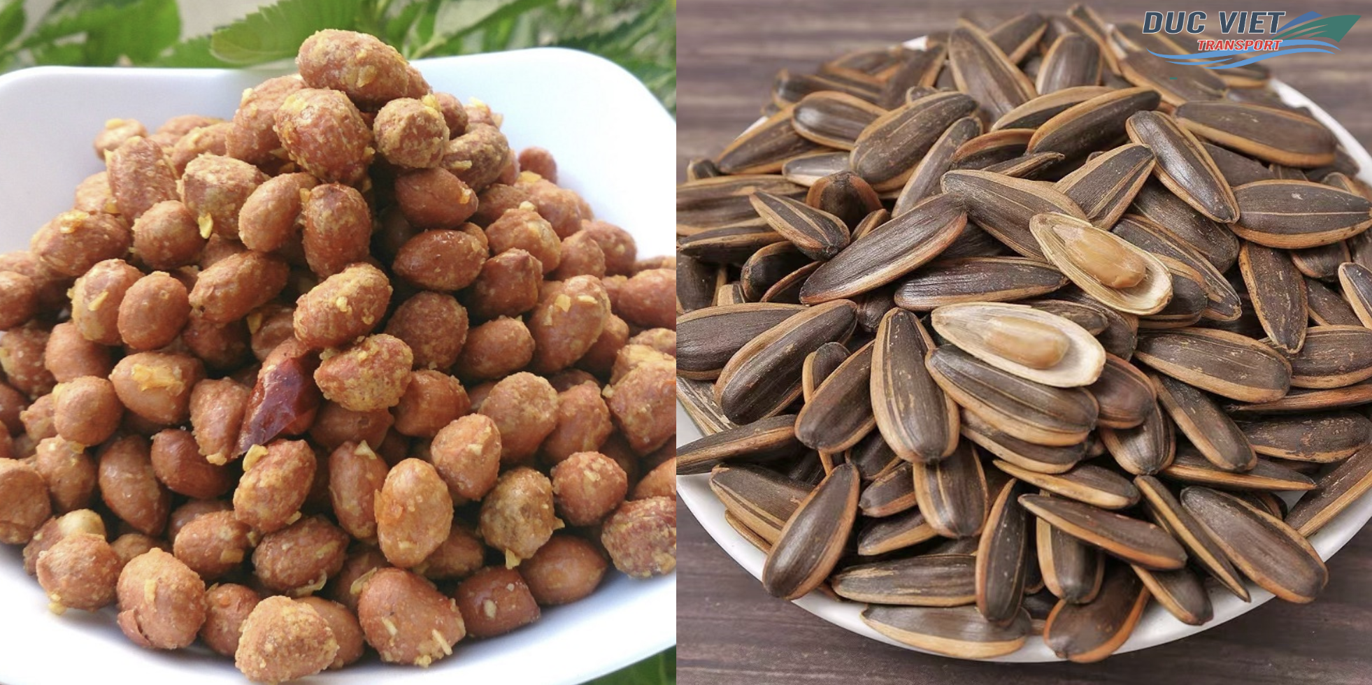 XUẤT KHẨU ĐẬU PHỘNG, HẠT HƯỚNG DƯƠNG RANG MUỐI SANG THỊ TRƯỜNG ĐỨC