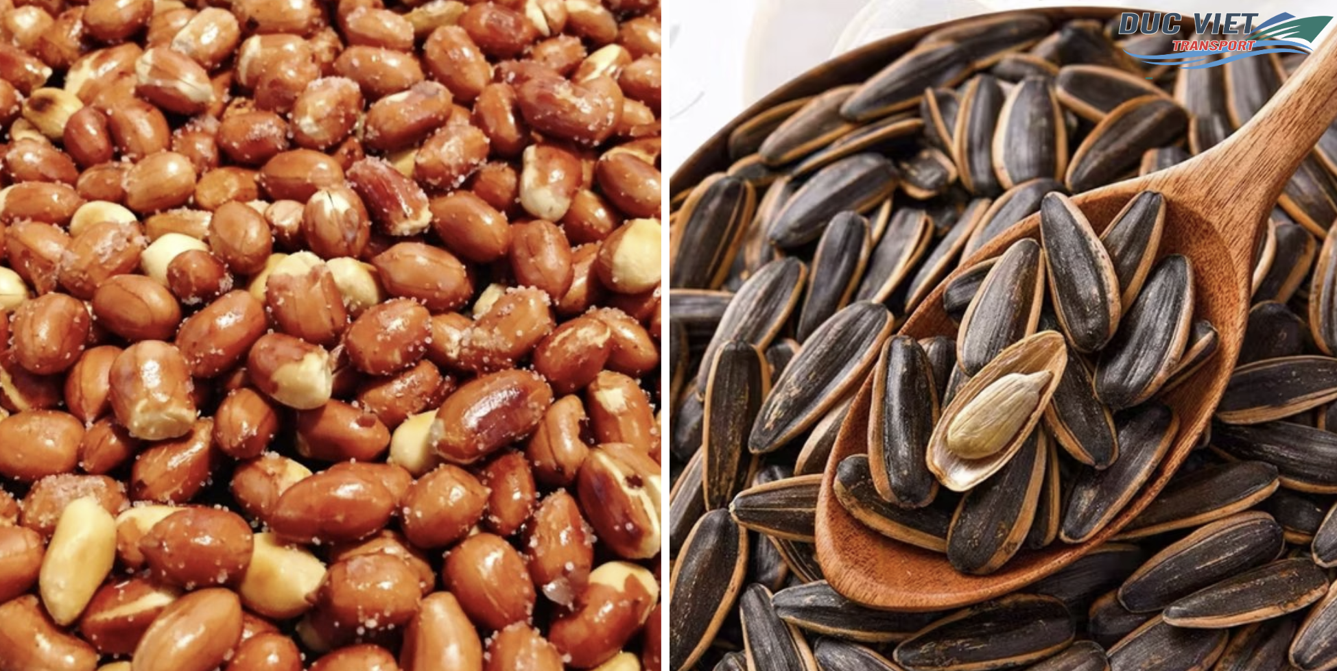 XUẤT KHẨU ĐẬU PHỘNG, HẠT HƯỚNG DƯƠNG RANG MUỐI SANG THỊ TRƯỜNG ĐỨC