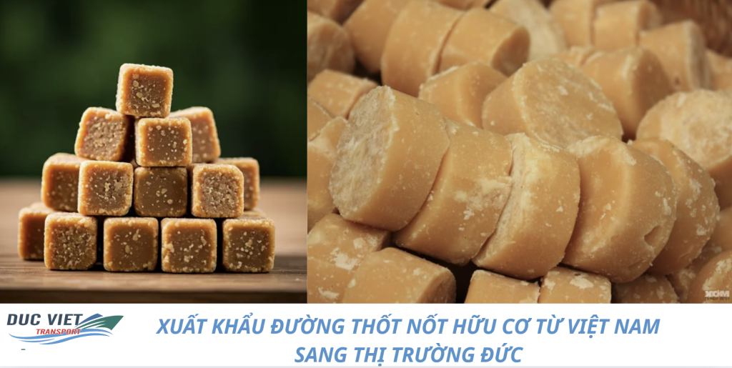 XUẤT KHẨU ĐƯỜNG THỐT NỐT HỮU CƠ TỪ VIỆT NAM SANG THỊ TRƯỜNG ĐỨC