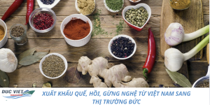 XUẤT KHẨU QUẾ, HỒI, GỪNG NGHỆ TỪ VIỆT NAM SANG THỊ TRƯỜNG ĐỨC