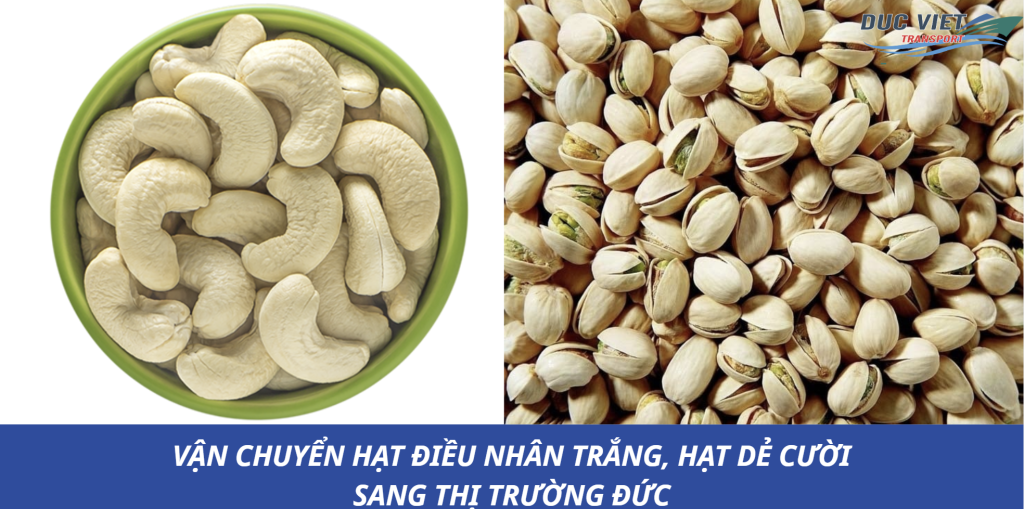 VẬN CHUYỂN HẠT ĐIỀU NHÂN TRẮNG, HẠT DẺ CƯỜI SANG THỊ TRƯỜNG ĐỨC