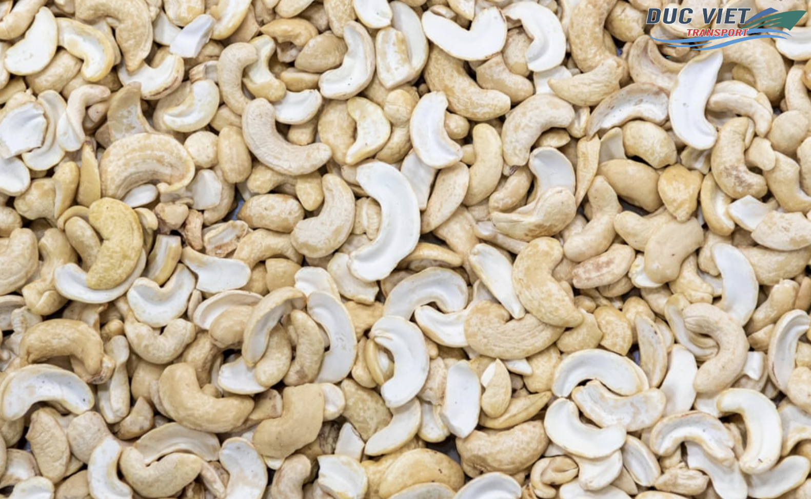 VẬN CHUYỂN HẠT ĐIỀU NHÂN TRẮNG, HẠT DẺ CƯỜI SANG THỊ TRƯỜNG ĐỨC