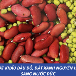 XUẤT KHẨU ĐẬU ĐỎ, ĐẬT XANH NGUYÊN HẠT SANG NƯỚC ĐỨC