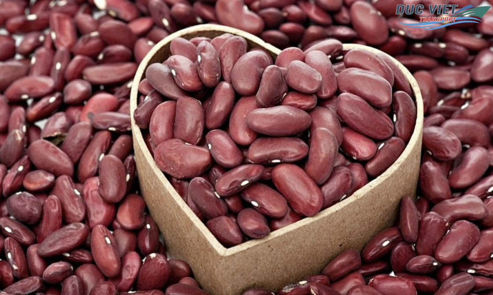 XUẤT KHẨU ĐẬU ĐỎ, ĐẬT XANH NGUYÊN HẠT SANG NƯỚC ĐỨC