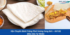 Vận Chuyển Bánh Tráng Phơi Sương Sang Đức – Giữ Độ Mềm Dẻo Tự Nhiên