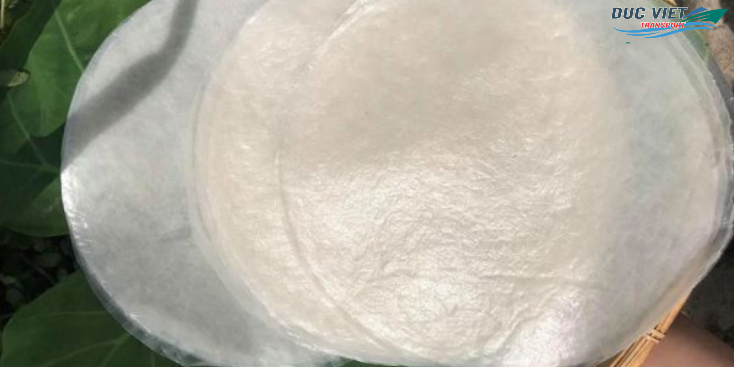 Vận Chuyển Bánh Tráng Phơi Sương Sang Đức – Giữ Độ Mềm Dẻo Tự Nhiên