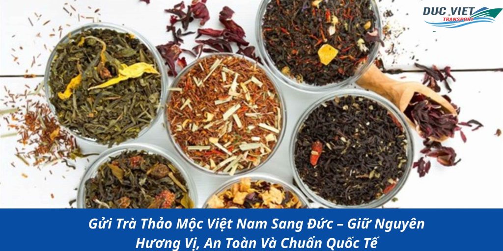 Gửi Trà Thảo Mộc Việt Nam Sang Đức – Giữ Nguyên Hương Vị, An Toàn Và Chuẩn Quốc Tế