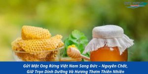 Gửi Mật Ong Rừng Việt Nam Sang Đức – Nguyên Chất, Giữ Trọn Dinh Dưỡng Và Hương Thơm Thiên Nhiên