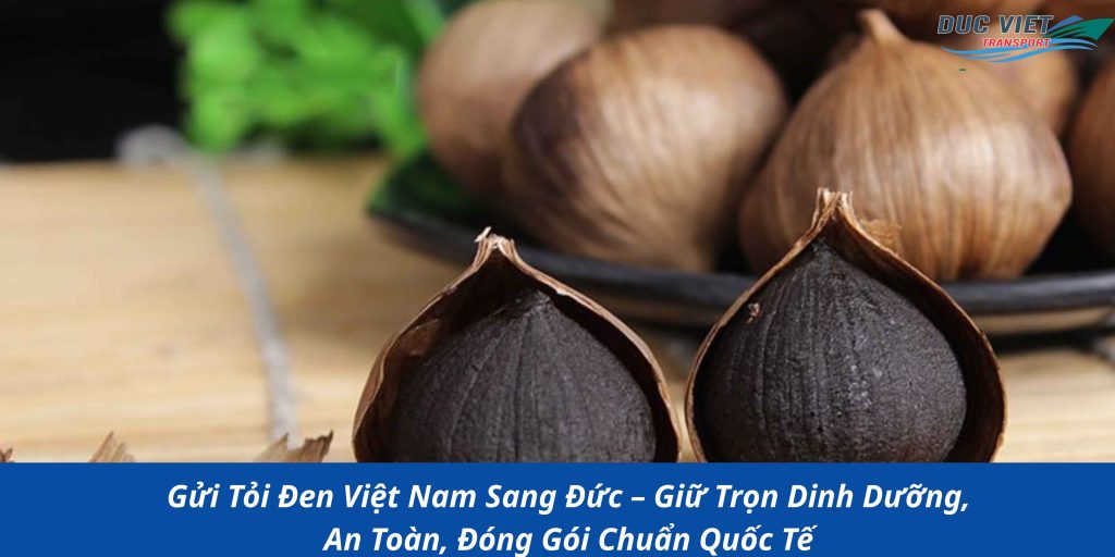 Gửi Tỏi Đen Việt Nam Sang Đức – Giữ Trọn Dinh Dưỡng, An Toàn, Đóng Gói Chuẩn Quốc Tế