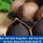 Gửi Tỏi Đen Việt Nam Sang Đức – Giữ Trọn Dinh Dưỡng, An Toàn, Đóng Gói Chuẩn Quốc Tế